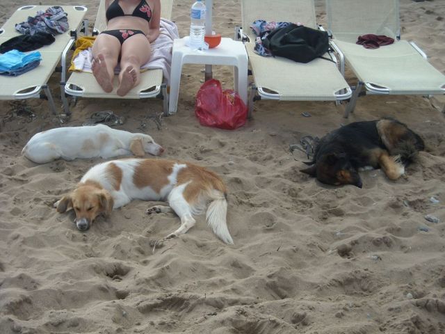 i/Kranj/Absolvent08/10-BeachParty/absolvent 2140.jpg_640.jpg